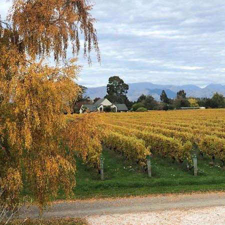 Vineyard Cottage In Blenheim On The Golden Mile Exteriér fotografie