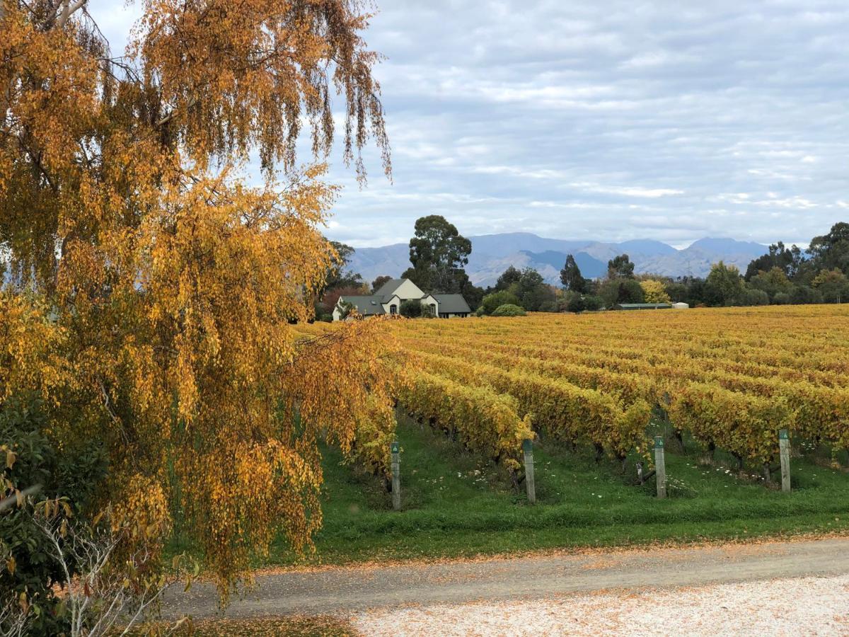Vineyard Cottage In Blenheim On The Golden Mile Exteriér fotografie